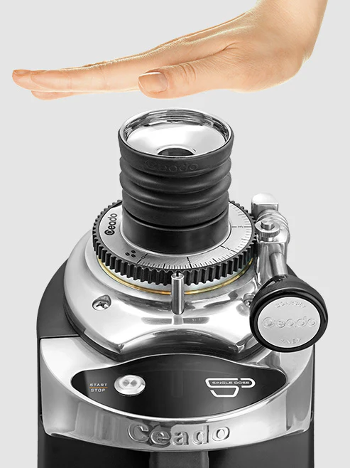 תמונה ממוזערת 2